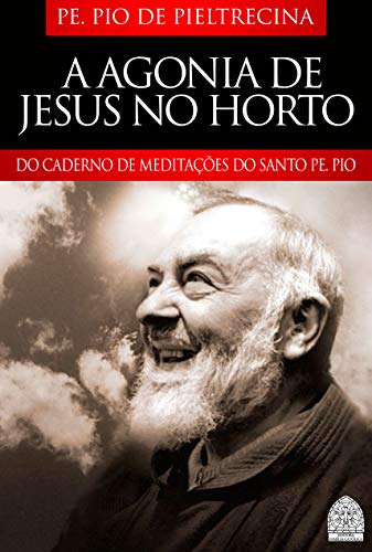 A AGONIA DE JESUS NO HORTO