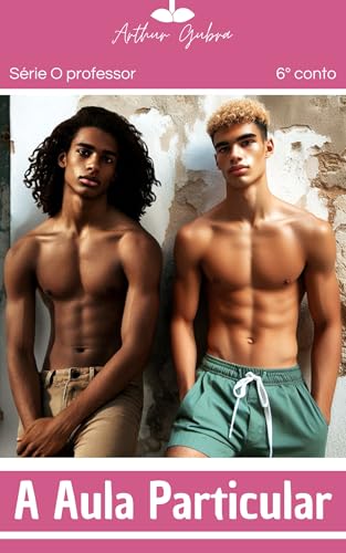 A Aula Particular (Conto Erótico Gay) (O Professor Livro 6)