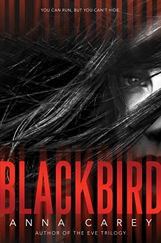 Blackbird (English Edition)