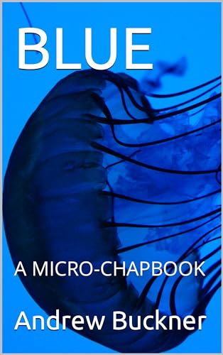 BLUE: A MICRO-CHAPBOOK (English Edition)