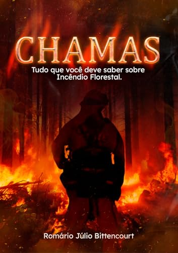 Chamas: Tudo que você deve saber sobre incêndios florestais.
