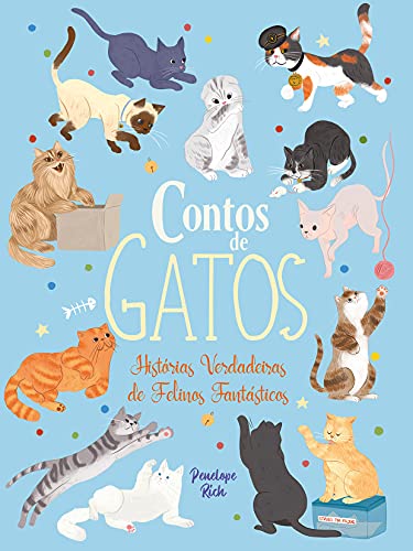 Contos sobre Gatos