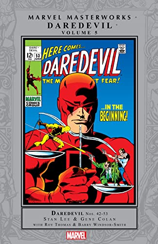 Daredevil Masterworks Vol. 5 (Daredevil (1964-1998)) (English Edition)