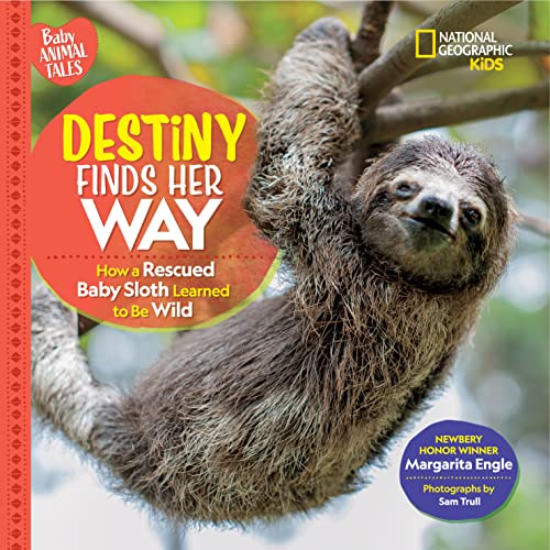 Destiny Finds Her Way: How a Rescued Baby Sloth Learned to Be Wild (Baby Animal Tales) (English Edition)