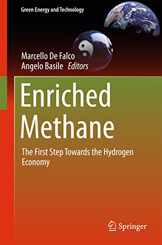 Enriched Methane: The First Step Towards the Hydrogen Economy (Green Energy and Technology) (English Edition)