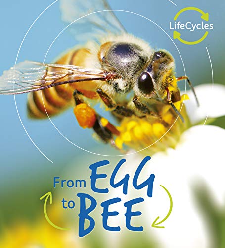 Lifecycles: Egg to Bee (Life Cycles) (English Edition)