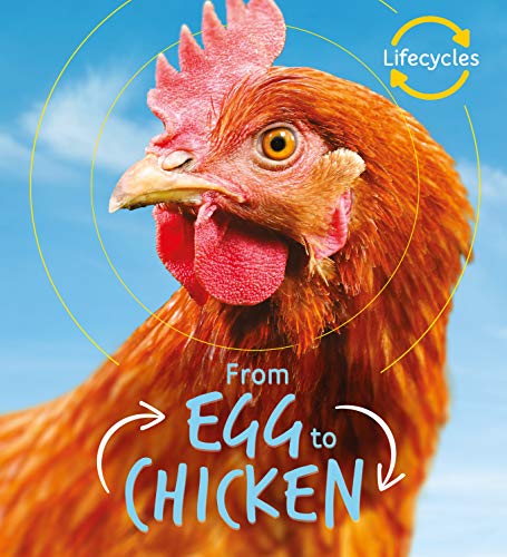 Lifecycles: Egg to Chicken (English Edition)