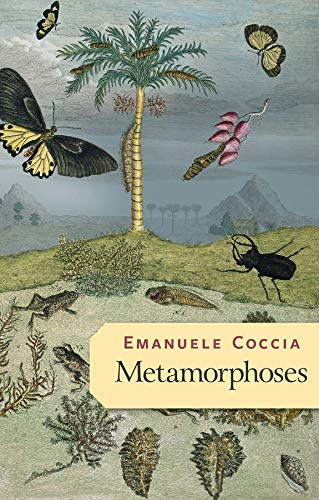 Metamorphoses (English Edition)