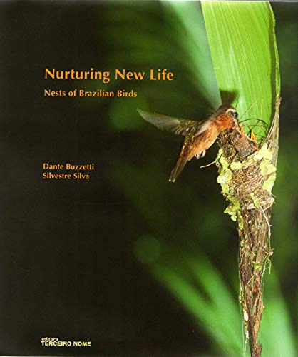 Nurturing new life: Nests of brazilian birds (English Edition)