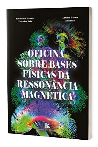 Oficina Sobre Bases Físicas Da Ressonância Magnética