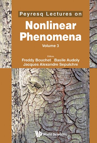 Peyresq Lectures On Nonlinear Phenomena (Volume 3) (English Edition)