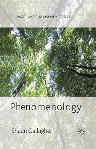 Phenomenology (Palgrave Philosophy Today) (English Edition)