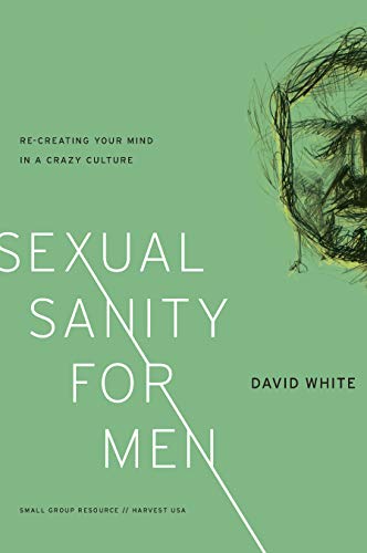 Sexual Sanity for Men: Re-creating Your Mind in a Crazy Culture (English Edition)