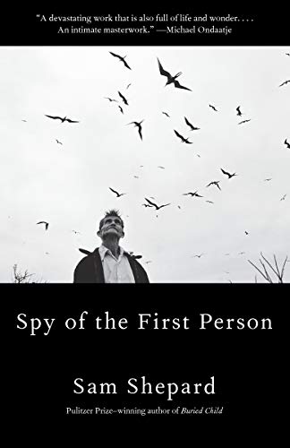 Spy of the First Person (English Edition)