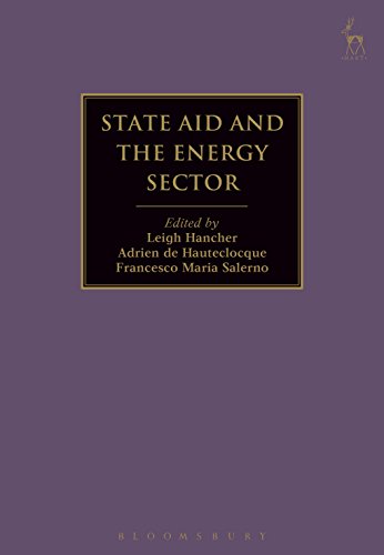 State Aid and the Energy Sector (English Edition)