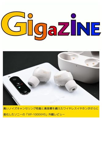 takai noizukyanseringuseinouto kouonshitsuwo sonaeta waiyaresuiyahonga sarani shinkashita sonino daburyuefusenekkusuemufuxaibu gaikanrebyu (Japanese Edition)