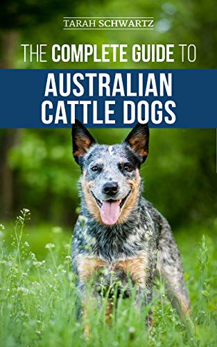 The Complete Guide to Australian Cattle Dogs: Finding, Training, Feeding, Exercising and Keeping Your ACD Active, Stimulated, and Happy (English Edition)