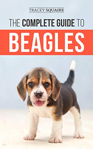 The Complete Guide to Beagles: Choosing, Housebreaking, Training, Feeding, and Loving Your New Beagle Puppy (English Edition)