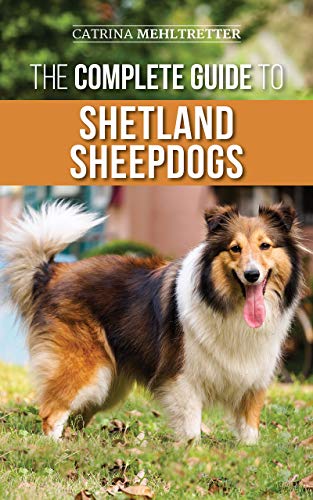 The Complete Guide to Shetland Sheepdogs: Finding, Raising, Training, Feeding, Working, and Loving Your New Sheltie (English Edition)