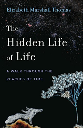 The Hidden Life of Life: A Walk through the Reaches of Time (Animalibus: Of Animals and Cultures Book 13) (English Edition)