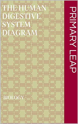The human digestive system diagram (English Edition)