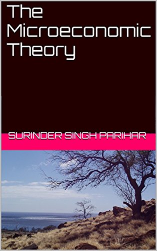 The Microeconomic Theory (English Edition)