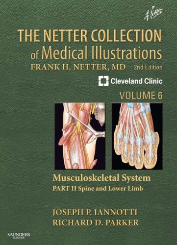 The Netter Collection of Medical Illustrations: Musculoskeletal System, Volume 6, Part II