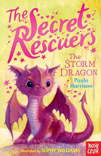 The Secret Rescuers: The Storm Dragon (English Edition)