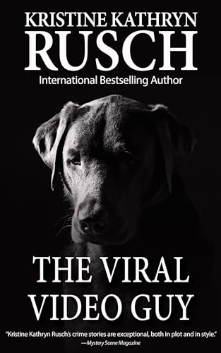 The Viral Video Guy (English Edition)