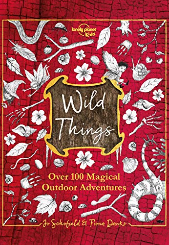 Wild Things (Lonely Planet Kids) (English Edition)