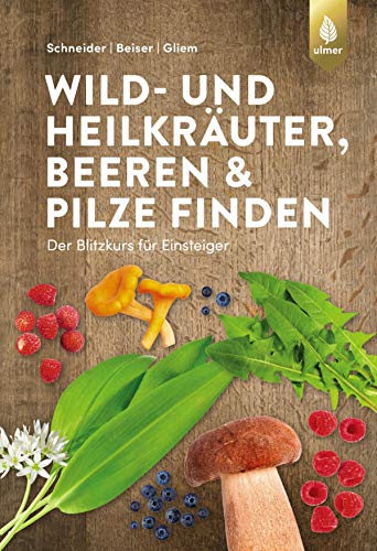 Wild- und Heilkräuter, Beeren und Pilze finden: Der Blitzkurs für Einsteiger (German Edition)